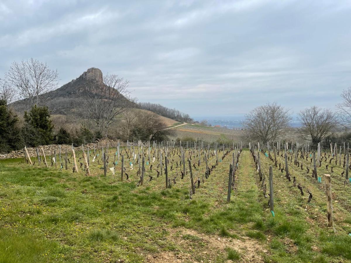 La Tablee Medievale Civrieux-dʼAzergues エクステリア 写真